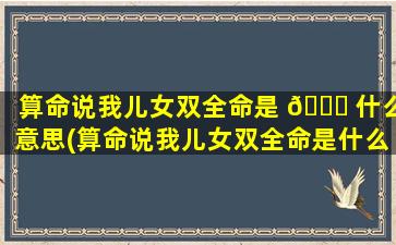 算命说我儿女双全命是 🍀 什么意思(算命说我儿女双全命是什么意思啊)